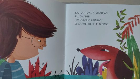 Um Superamigo, Nair de Medeiros Barbosa, Ilustrações Isabela Santos